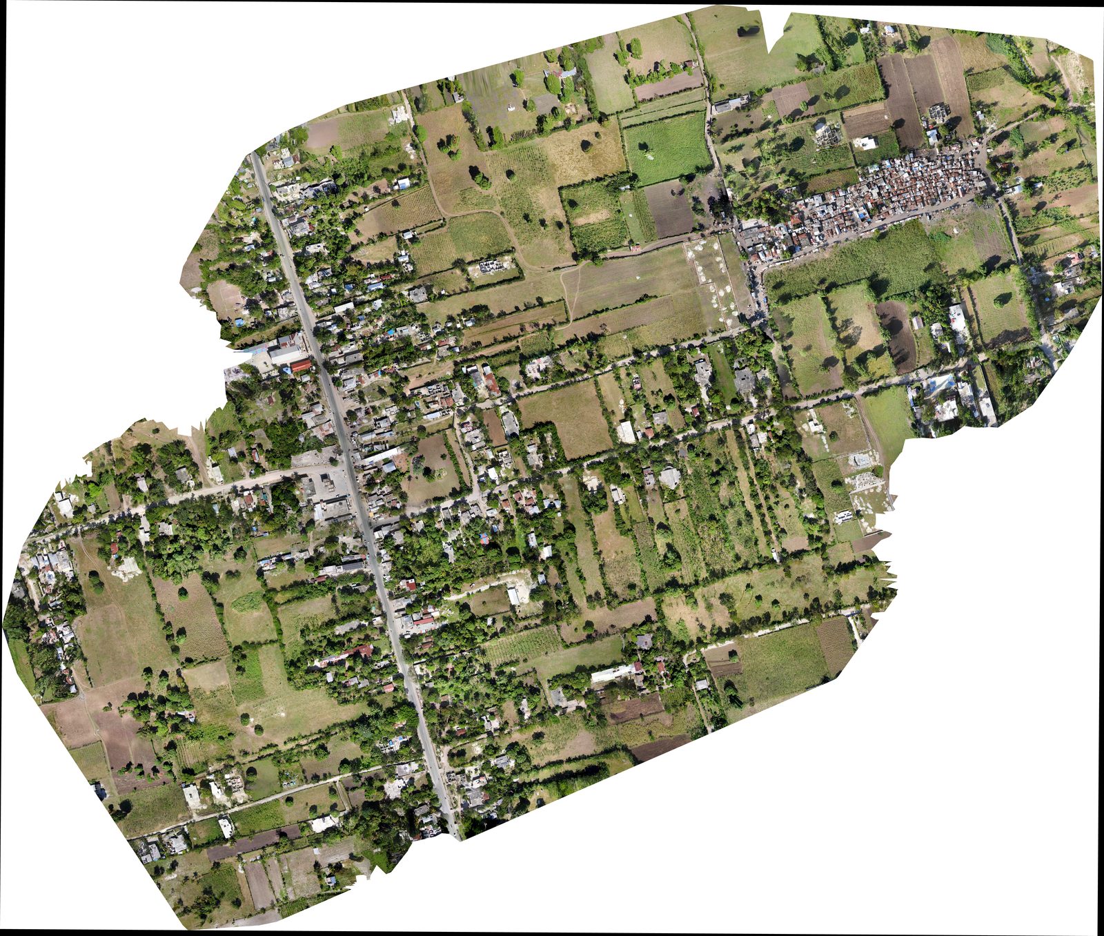 Les Cayes Orthophoto 2024